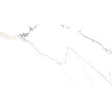 Picture of Roca - Lithology 24 x 48 Polaris White