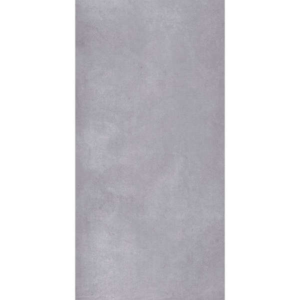 Picture of Roca - Liverpool 12 x 24 Polished Cinza