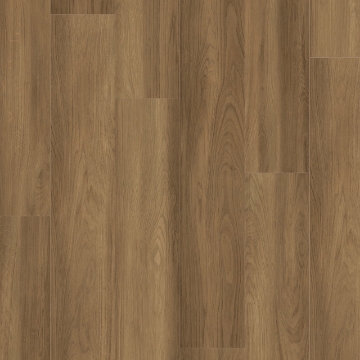 Picture of Southwind - Sweet Home Winfield