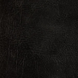 Picture of EcoDomo - Echelon Engineered 18 x 18 Ebony Buffalo