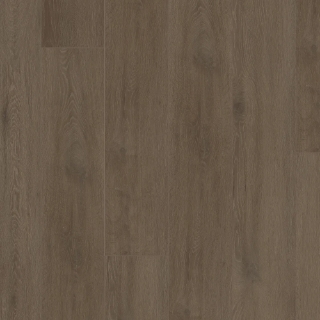 Picture of Shaw Floors - Starting Line Stormy Espresso