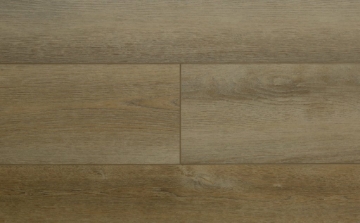 Picture of Audacity - Astonish Canyon