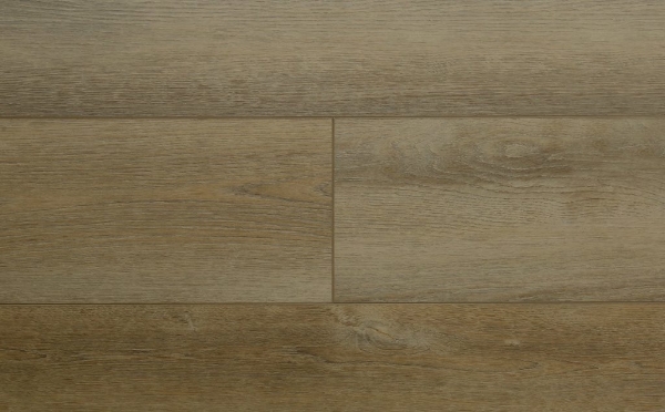 Picture of Audacity - Astonish Canyon