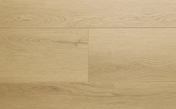 Picture of Audacity - Astonish Marshland