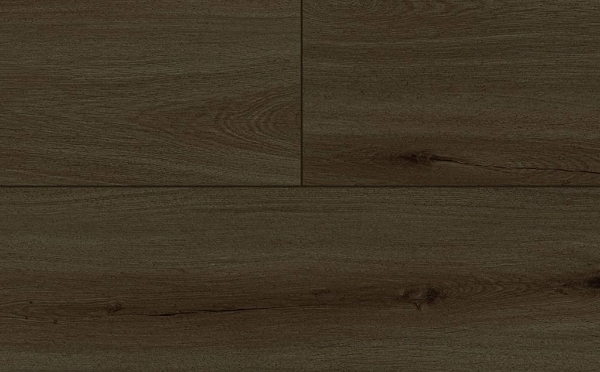 Picture of Audacity - Astonish Ozark