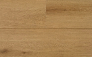 Picture of Audacity - Astonish Sonoran