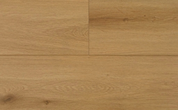 Picture of Audacity - Astonish Sonoran