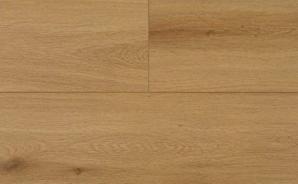 Picture of Audacity - Astonish Sonoran