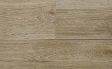 Picture of Audacity - Elegance Edinburgh