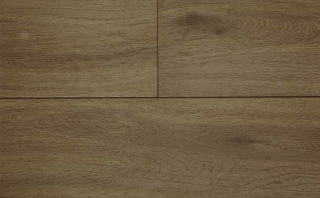 Picture of Audacity - Elegance Sherwood