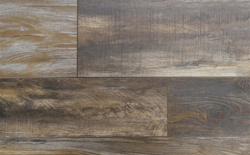 Picture of Audacity - Monticello Cache