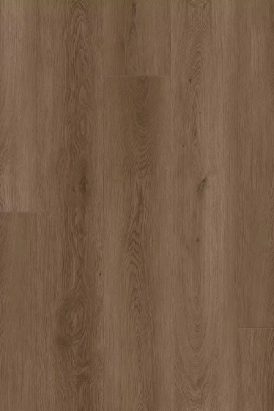 Picture of Happy Feet Intl. - Dynamic Fit Santa Monica