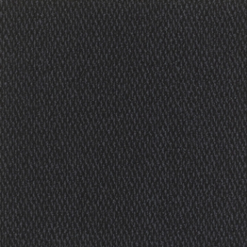 Picture of J+J Flooring - Catwalk II Walk-Off Photo Op