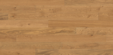 Picture of Haro - Maxim Markant