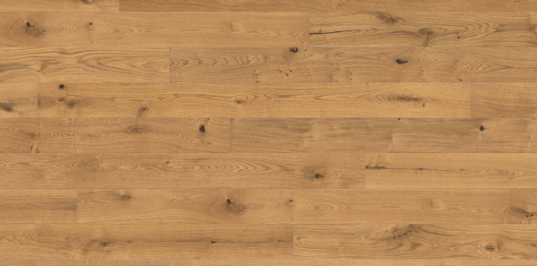 Picture of Haro - Maxim Sauvage