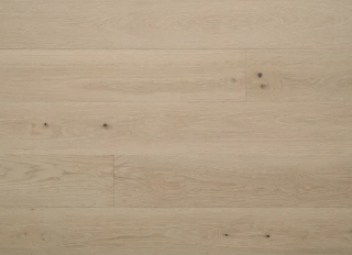 Picture of Nuvelle - New Reserve Dahlia