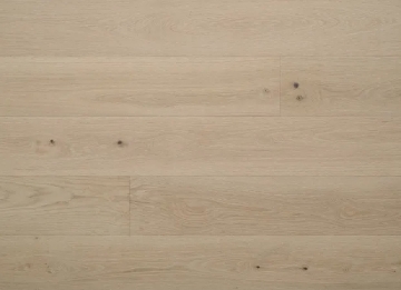 Picture of Nuvelle - New Reserve Dahlia