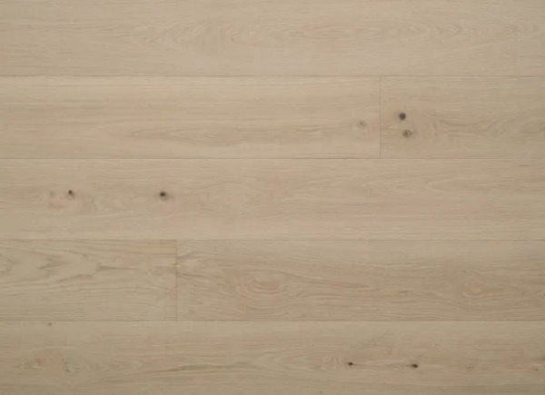 Picture of Nuvelle - New Reserve Dahlia