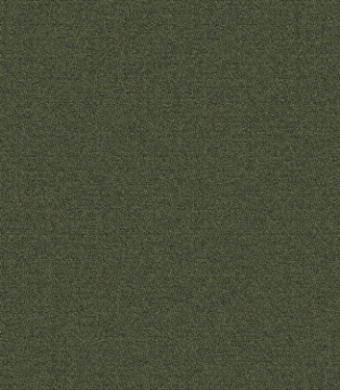 Picture of Mohawk Group - New Basics III 26 Forest