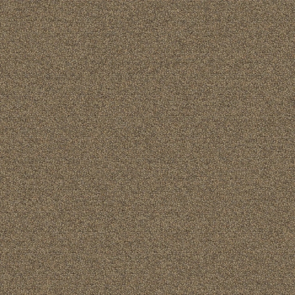 Picture of Mohawk Group - New Basics III Tile Biscotti Crunch