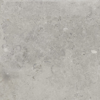 Picture of Happy Floors - Coralina 24 x 24 Perla