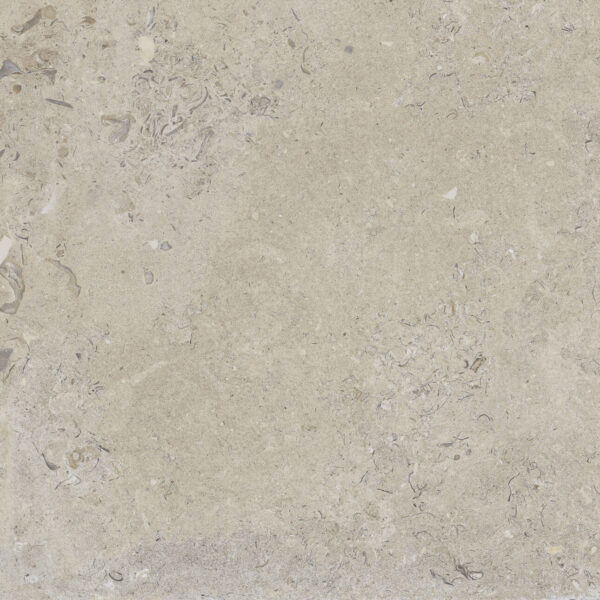 Picture of Happy Floors - Coralina 24 x 24 Beige