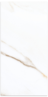 Picture of Eleganza Tiles - Calacatta Borghini Next 12 x 24 Calacatta Borghini Polished