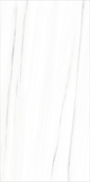 Picture of Eleganza Tiles - Italian Marble Next 12 x 24 Bianco Polished