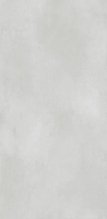 Picture of Eleganza Tiles - Metal Max Next 12 x 24 Light Grey