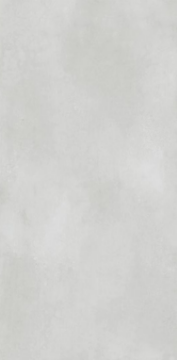 Picture of Eleganza Tiles - Metal Max Next 24 x 48 Light Grey