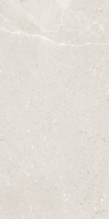 Picture of Eleganza Tiles - Monza 12 x 24 Spring