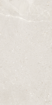 Picture of Eleganza Tiles - Monza 12 x 24 Spring