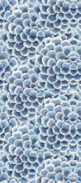 Picture of Bisazza Mosaico - Decori 10 - Dalia Blu Dalia Blu