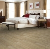 Picture of Mohawk - RevWood Select  Emberstone Ridge Linen Oak