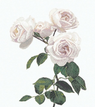 Picture of Bisazza Mosaico - Decori 10 - Malmaison Avorio