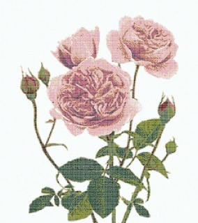 Picture of Bisazza Mosaico - Decori 10 - Malmaison Cipria