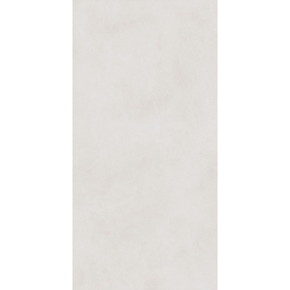 Picture of Roca - Pro 12 x 24 Polished Ivory
