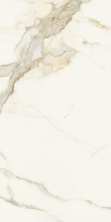 Picture of Marca Corona - Scultorea 24 x 48 Calacatta Oro Fino