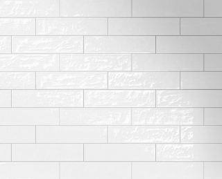 Picture of Milestone - Playful 6 x 24 Arctic