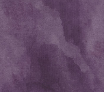 Picture of Philadelphia Commercial by Shaw - Cumulus Twilight