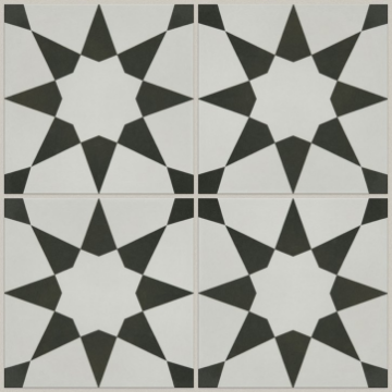 Picture of Shaw Builder - Resurgence Josefina Onyx