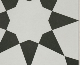 Picture of Shaw Builder - TB Resurgence Josephina Onyx