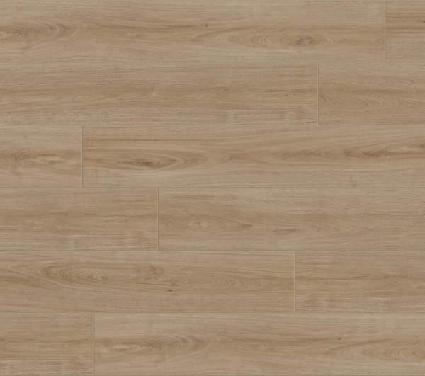 Picture of Aquashield - Estate Ca' D'Zan