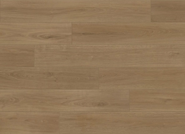 Picture of Aquashield - Estate Biltmore