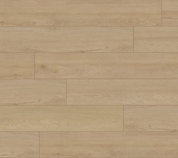 Picture of Aquashield - Estate Breakers