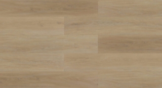 Picture of Aquashield - XL Cannon Beach