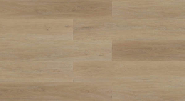 Picture of Aquashield - XL Cannon Beach