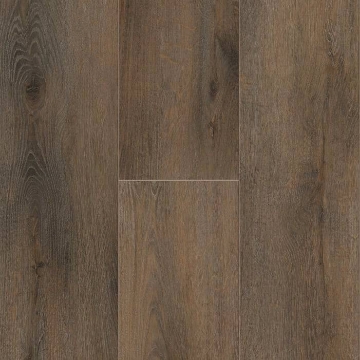 Picture of Titan Surfaces - Colossal Spartacus