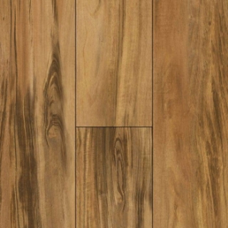 Picture of Titan Surfaces - Epic Salvador