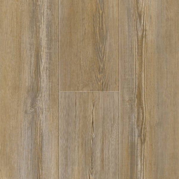 Picture of Titan Surfaces - Genesis Sweet Chestnut